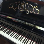DIAPASON DR-300
